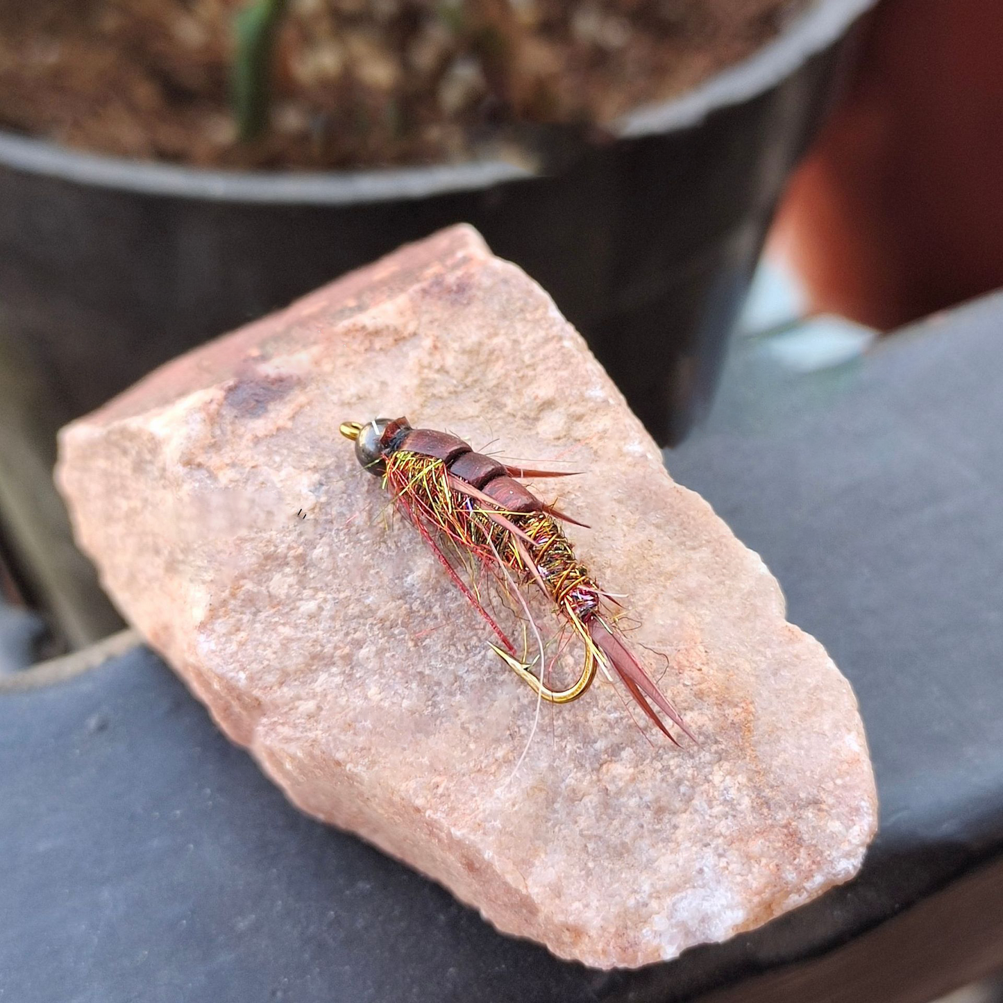 5 pieces of stone fly larvae.
