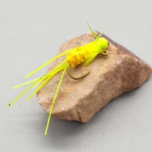 5Pcs spot pupa