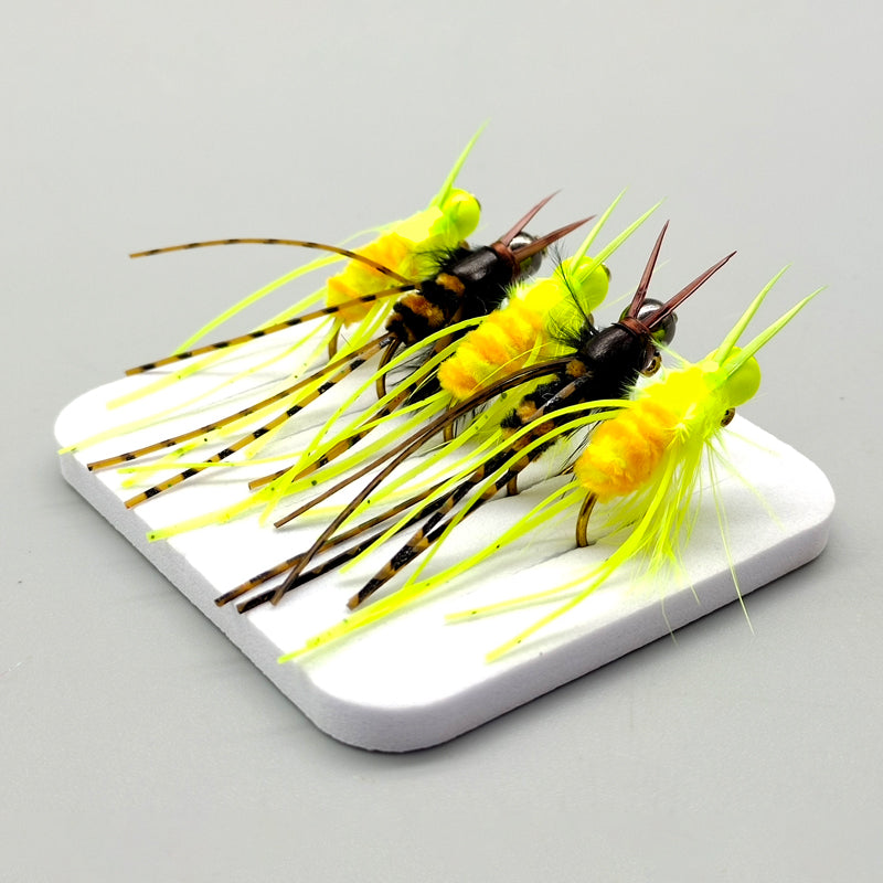 5Pcs spot pupa