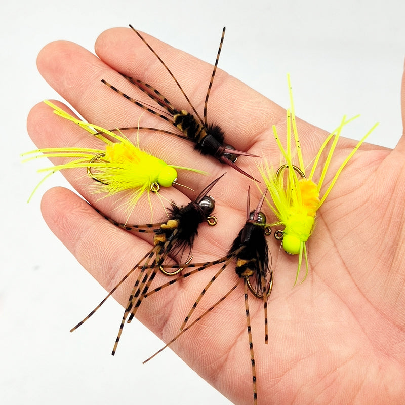 5Pcs spot pupa