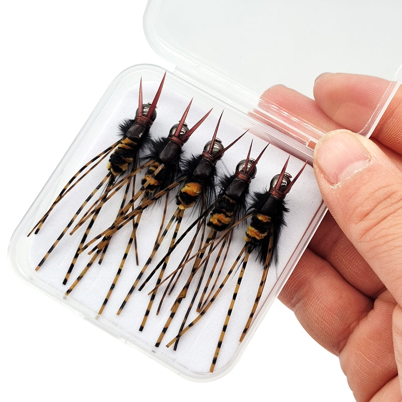5Pcs spot pupa