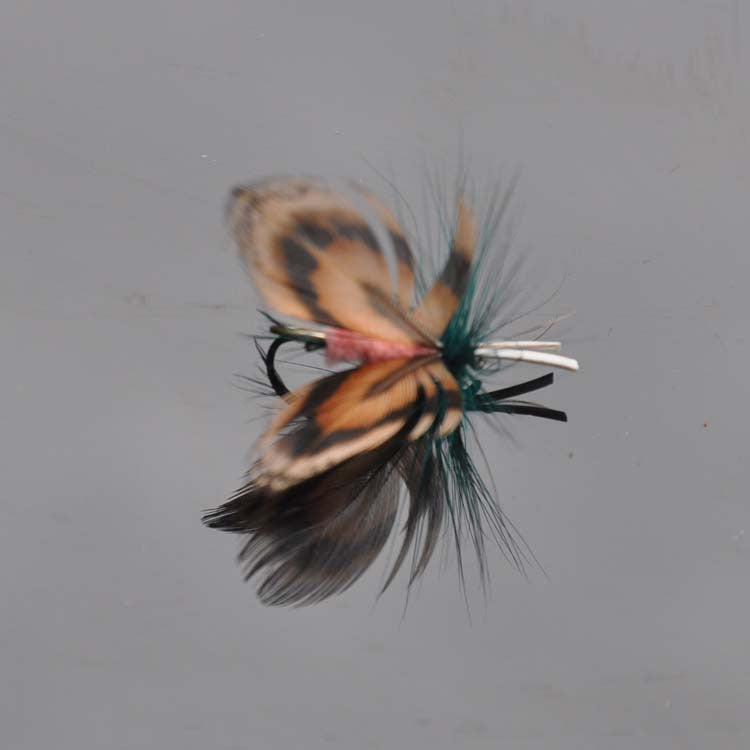 10Pcs box of fly hooks