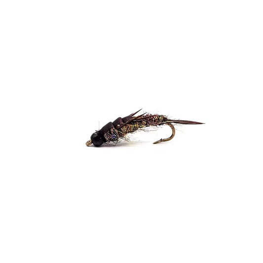 5 pieces of stone fly larvae.