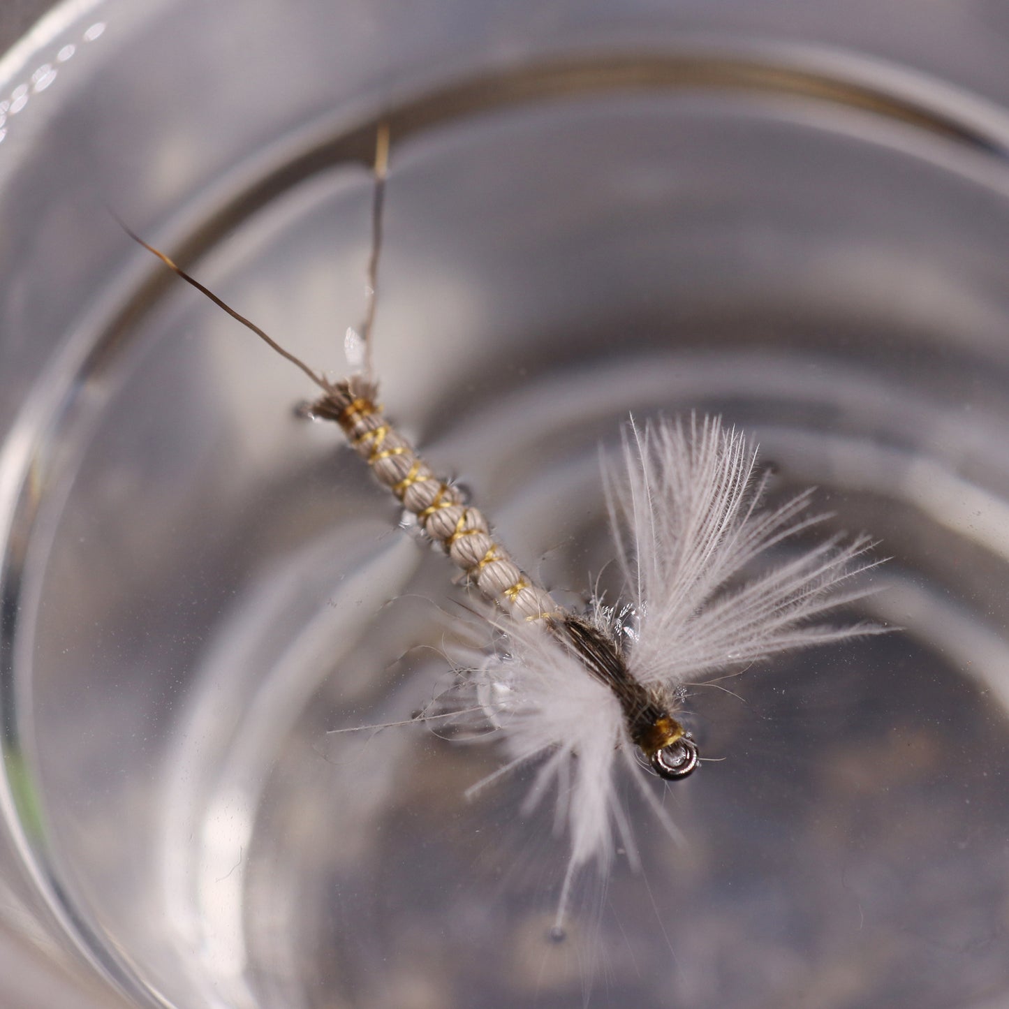 5Pcs drifting nymphs