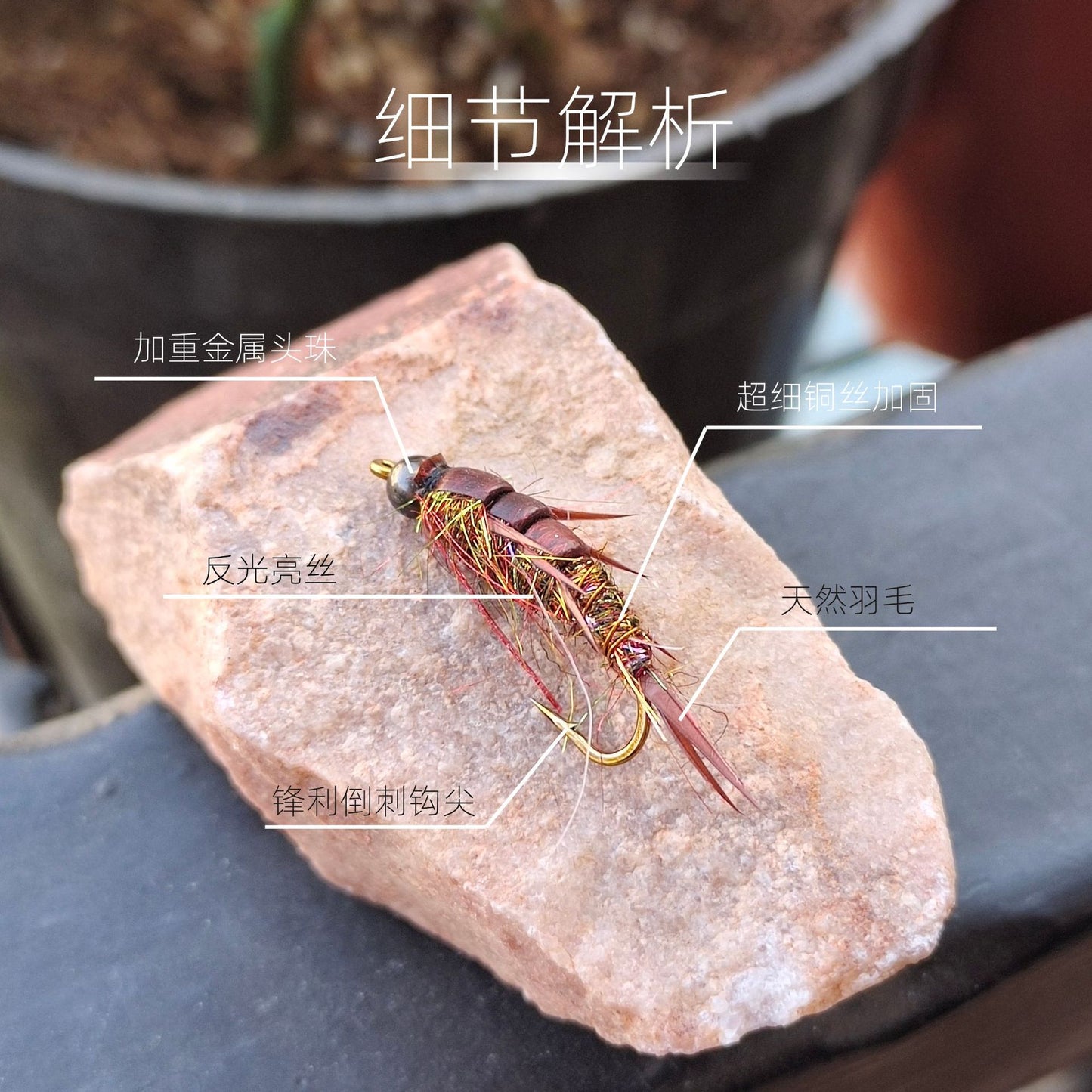 5 pieces of stone fly larvae.