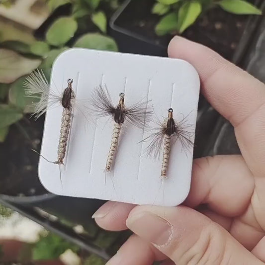 5Pcs drifting nymphs